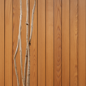 Як створюють термодерево