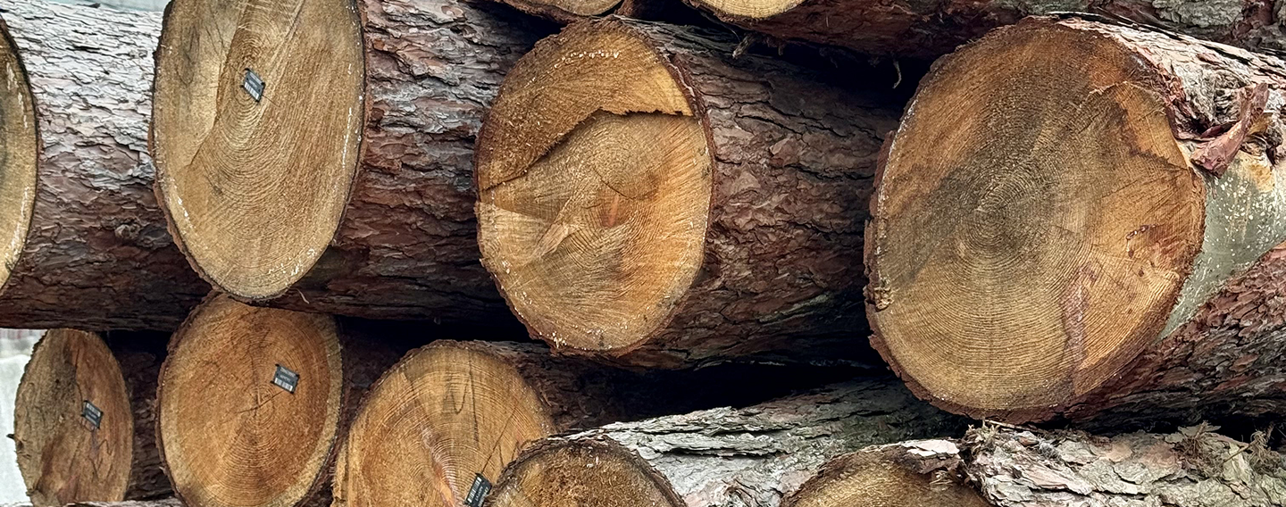 Консультация и подбор материалов  под архитектурный проект